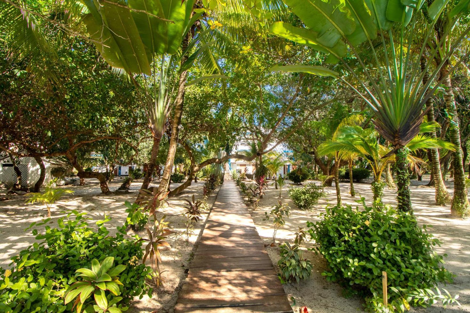 Condo # 20 at Beachside Villas Gold Standard Certified Placencia Habitación foto